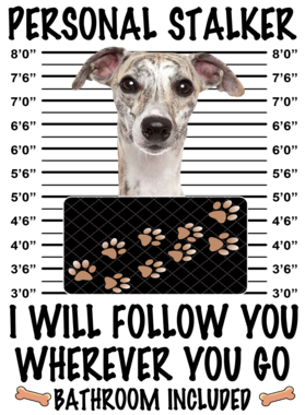 https://d1w8c6s6gmwlek.cloudfront.net/dabbapparel.com/overlays/385/878/38587874.png img