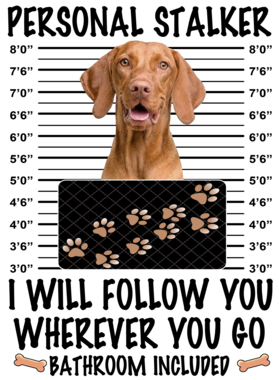 https://d1w8c6s6gmwlek.cloudfront.net/dabbapparel.com/overlays/385/878/38587875.png img