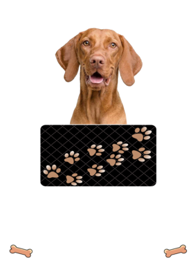 https://d1w8c6s6gmwlek.cloudfront.net/dabbapparel.com/overlays/385/878/38587876.png img