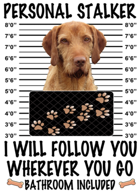 https://d1w8c6s6gmwlek.cloudfront.net/dabbapparel.com/overlays/385/878/38587877.png img