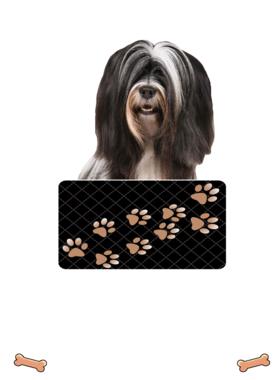 https://d1w8c6s6gmwlek.cloudfront.net/dabbapparel.com/overlays/385/878/38587878.png img