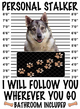 https://d1w8c6s6gmwlek.cloudfront.net/dabbapparel.com/overlays/385/878/38587879.png img