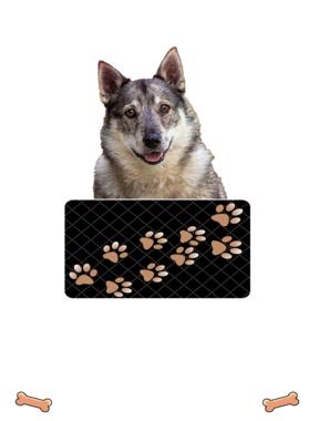 https://d1w8c6s6gmwlek.cloudfront.net/dabbapparel.com/overlays/385/878/38587881.png img