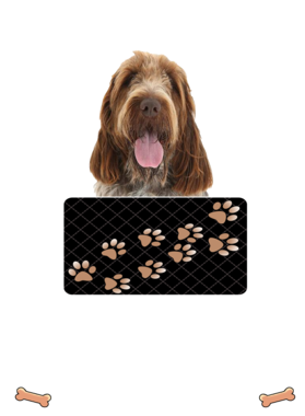 https://d1w8c6s6gmwlek.cloudfront.net/dabbapparel.com/overlays/385/878/38587882.png img