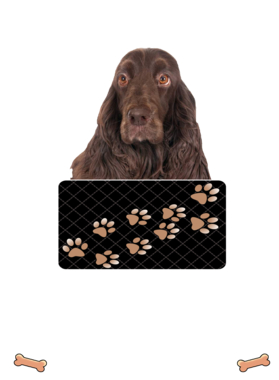 https://d1w8c6s6gmwlek.cloudfront.net/dabbapparel.com/overlays/385/878/38587884.png img