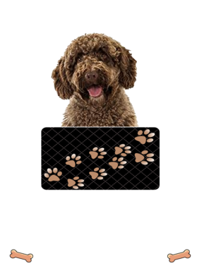 https://d1w8c6s6gmwlek.cloudfront.net/dabbapparel.com/overlays/385/878/38587885.png img