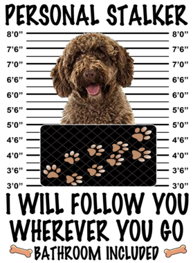 https://d1w8c6s6gmwlek.cloudfront.net/dabbapparel.com/overlays/385/878/38587886.png img
