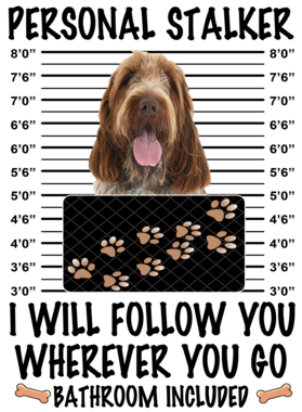 https://d1w8c6s6gmwlek.cloudfront.net/dabbapparel.com/overlays/385/878/38587887.png img