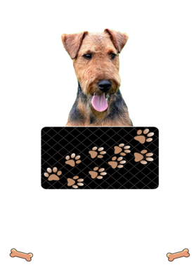 https://d1w8c6s6gmwlek.cloudfront.net/dabbapparel.com/overlays/385/878/38587888.png img
