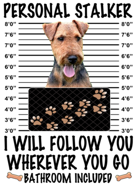 https://d1w8c6s6gmwlek.cloudfront.net/dabbapparel.com/overlays/385/878/38587889.png img