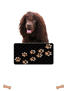 https://d1w8c6s6gmwlek.cloudfront.net/dabbapparel.com/overlays/385/878/38587890.png img