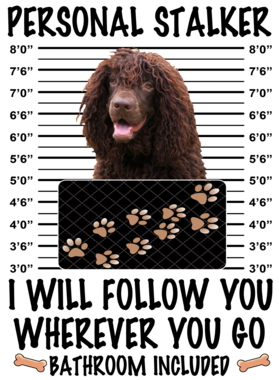 https://d1w8c6s6gmwlek.cloudfront.net/dabbapparel.com/overlays/385/878/38587891.png img