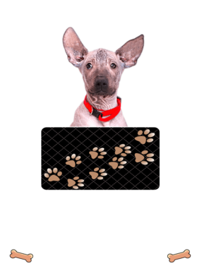 https://d1w8c6s6gmwlek.cloudfront.net/dabbapparel.com/overlays/385/878/38587892.png img