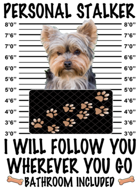 https://d1w8c6s6gmwlek.cloudfront.net/dabbapparel.com/overlays/385/878/38587893.png img