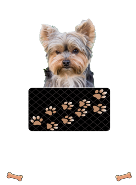 https://d1w8c6s6gmwlek.cloudfront.net/dabbapparel.com/overlays/385/878/38587894.png img