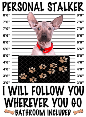 https://d1w8c6s6gmwlek.cloudfront.net/dabbapparel.com/overlays/385/878/38587895.png img