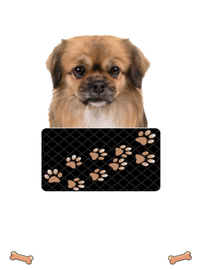 https://d1w8c6s6gmwlek.cloudfront.net/dabbapparel.com/overlays/385/878/38587896.png img