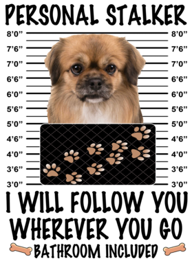 https://d1w8c6s6gmwlek.cloudfront.net/dabbapparel.com/overlays/385/878/38587897.png img