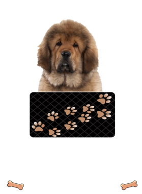https://d1w8c6s6gmwlek.cloudfront.net/dabbapparel.com/overlays/385/878/38587898.png img