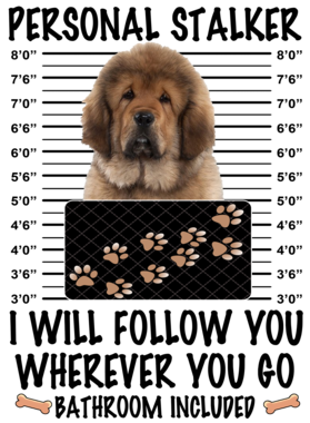 https://d1w8c6s6gmwlek.cloudfront.net/dabbapparel.com/overlays/385/878/38587899.png img