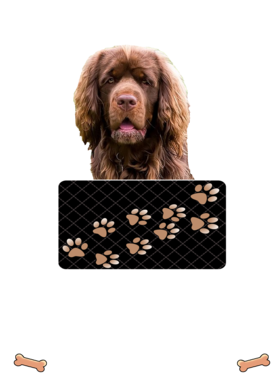 https://d1w8c6s6gmwlek.cloudfront.net/dabbapparel.com/overlays/385/879/38587900.png img