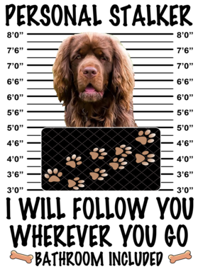 https://d1w8c6s6gmwlek.cloudfront.net/dabbapparel.com/overlays/385/879/38587901.png img