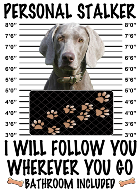 https://d1w8c6s6gmwlek.cloudfront.net/dabbapparel.com/overlays/385/879/38587903.png img
