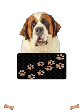 https://d1w8c6s6gmwlek.cloudfront.net/dabbapparel.com/overlays/385/879/38587904.png img