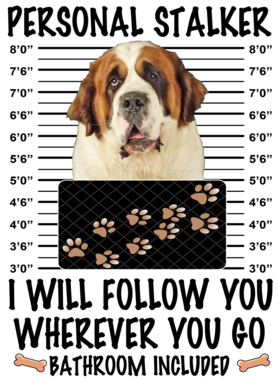 https://d1w8c6s6gmwlek.cloudfront.net/dabbapparel.com/overlays/385/879/38587905.png img