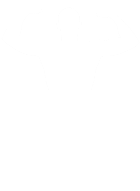 https://d1w8c6s6gmwlek.cloudfront.net/dabbapparel.com/overlays/389/015/38901510.png img