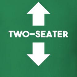 Two Seater Funny St Patricks Day Party Humor T Shirt 37455046