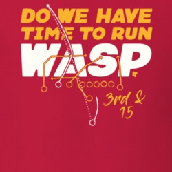 Do We Have Time To Run The Wasp Kansas City Football Fan T Shirt 37461877