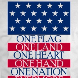 One Flag T Shirt 36269029
