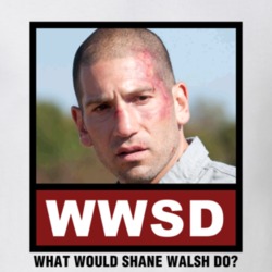 What Would Shane Walsh Do WWSD The Walking Dead T Shirt 1270246