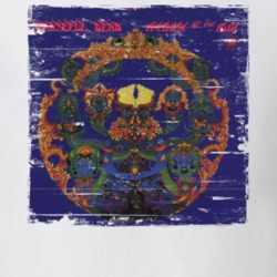 Grateful Dead Album Worn Image Tee 7352327