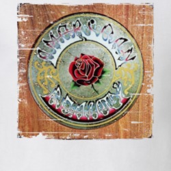 Grateful Dead American Beauty Worn Image Tee 7372872