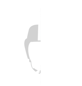 image overlay