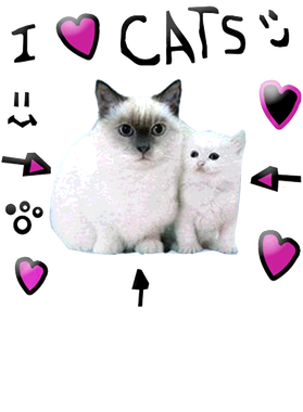 https://d1w8c6s6gmwlek.cloudfront.net/dessertcravingtees.com/overlays/403/026/40302669.png img