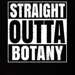 Straight Outta Botany Nouns Compton Parody T Shirt 19359700