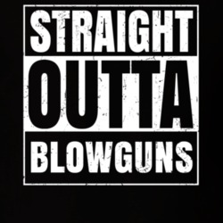 Straight Outta Blowguns Nouns Compton Parody T Shirt 19359737
