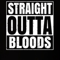 Straight Outta Bloods Nouns Compton Parody T Shirt 19359743