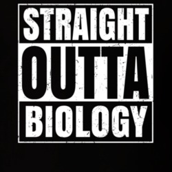 Straight Outta Biology Nouns Compton Parody T Shirt 19359765