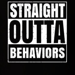 Straight Outta Behaviors Nouns Compton Parody T Shirt 19359802