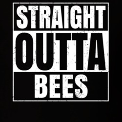 Straight Outta Bees Nouns Compton Parody T Shirt 19359818