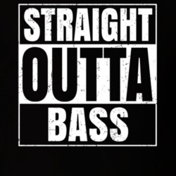 Straight Outta Bass Nouns Compton Parody T Shirt 19359855