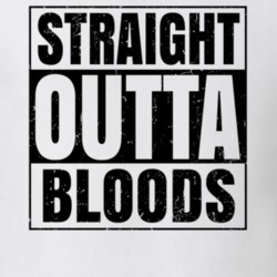 Straight Outta Bloods Nouns Words Compton Parody T Shirt 19359940