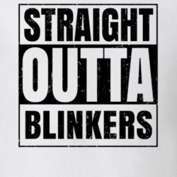 Straight Outta Blinkers Nouns Words Compton Parody T Shirt 19359946