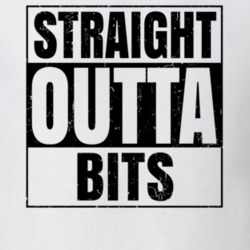 Straight Outta Bits Nouns Words Compton Parody T Shirt 19359953