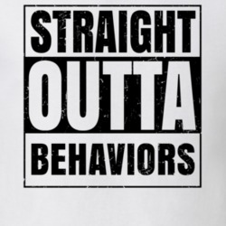 Straight Outta Behaviors Nouns Words Compton Parody T Shirt 19359990