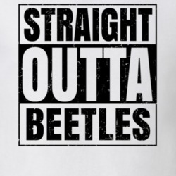 Straight Outta Beetles Nouns Words Compton Parody T Shirt 19359997